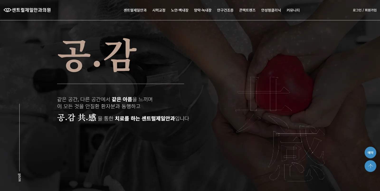 Centraljeil 웹사이트 제작 포트폴리오